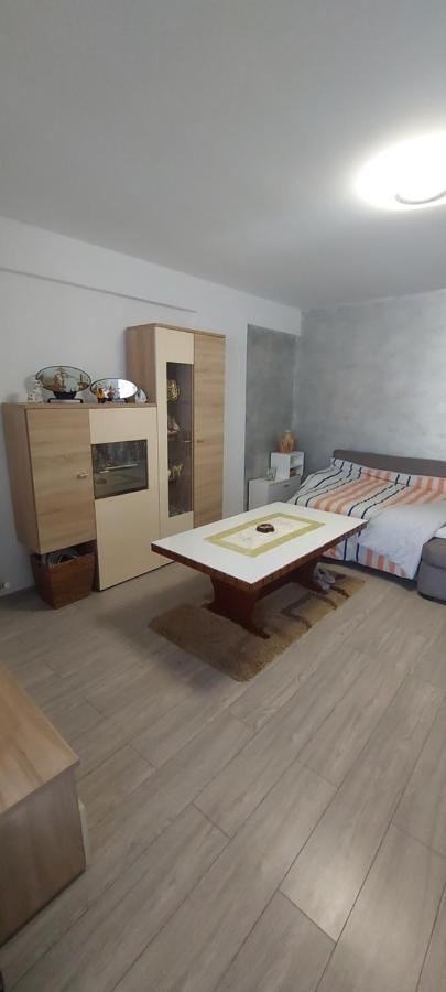 דירות Năvodari Apartament Nina מראה חיצוני תמונה